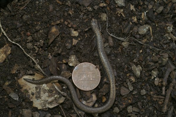 Quelle méthode pour l'analyse comparative des coûts pour un prestataire de services logistiques?